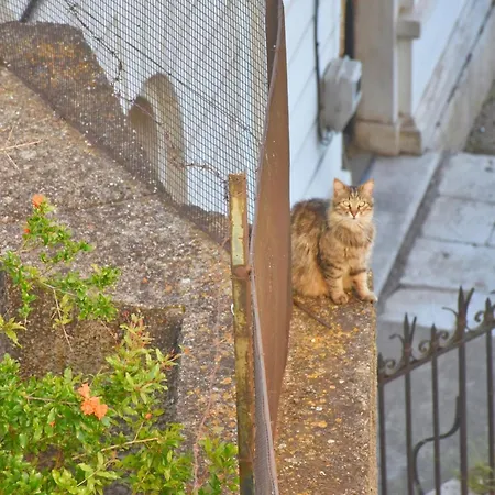 Apartament Mouragia Corfu Corfu (city)